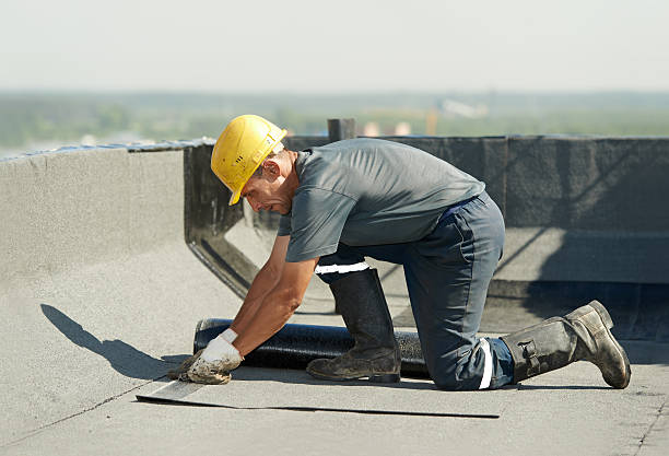 Best Specialty Insulation in East Dublin, GA